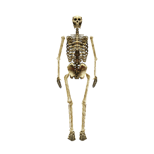 File:The Shells Tenant render.png