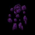 Thumbnail for version as of 04:10, 30 July 2026