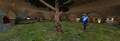 Thumbnail for version as of 12:59, 28 August 2026