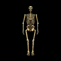 Thumbnail for version as of 20:47, 19 July 2026