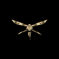 Thumbnail for version as of 04:10, 30 July 2026